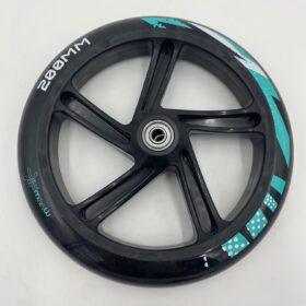 schwarz-weiß-mint