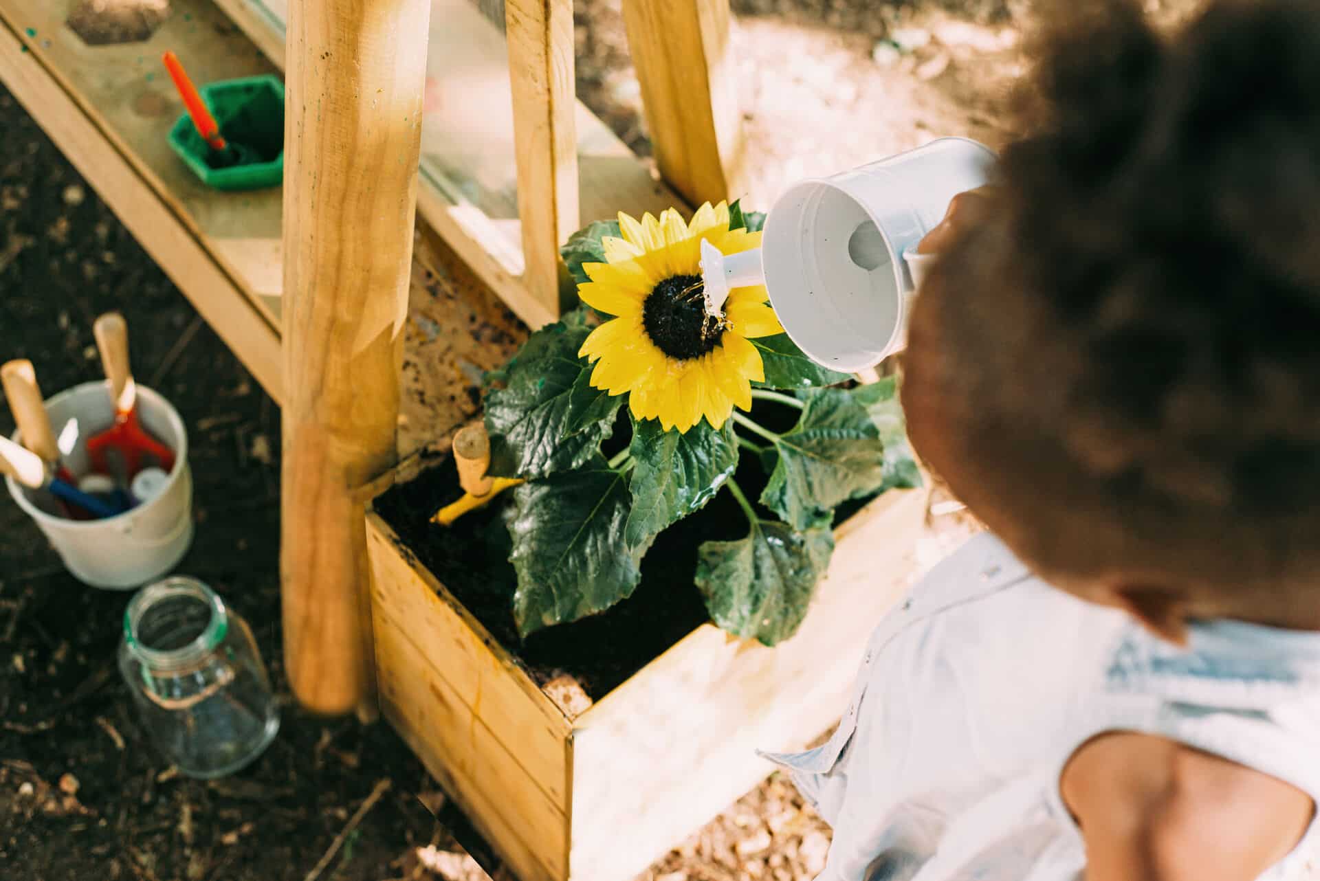 27620AB69_Plum-Discovery_Create-and-Paint-Easel_Flower_03